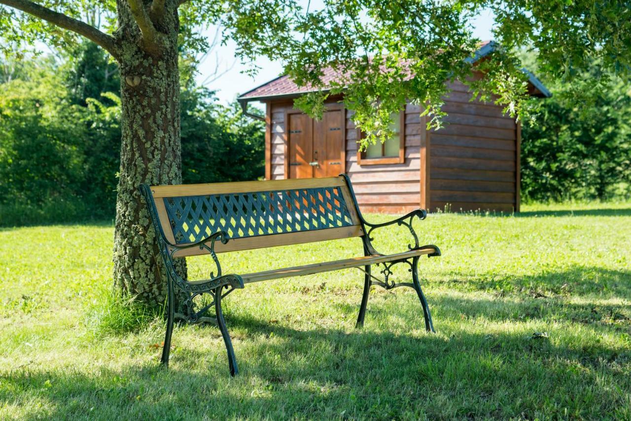 Vila Elida Pazin Exteriér fotografie